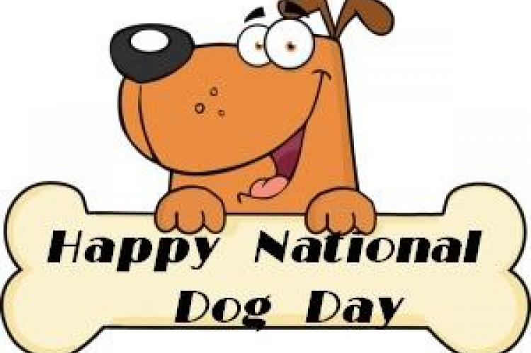 26 augustus, National Dog Day