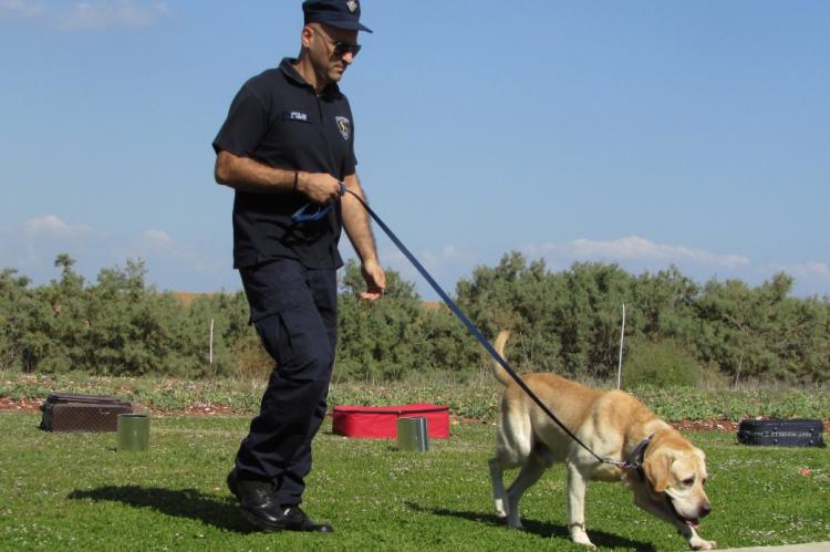 Politie ook in actie tegen verenigingen die honden mishandelen