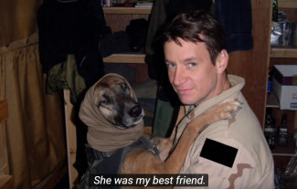 "War dogs, a soldiers best friend" geeft uniek beeld van Amerikaanse legerhonden