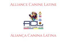 "Latin Alliance" kiest ook voor Nationaal Erkende Rassen